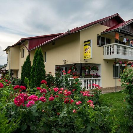 Pensiunea Elena Tasnad Exterior foto
