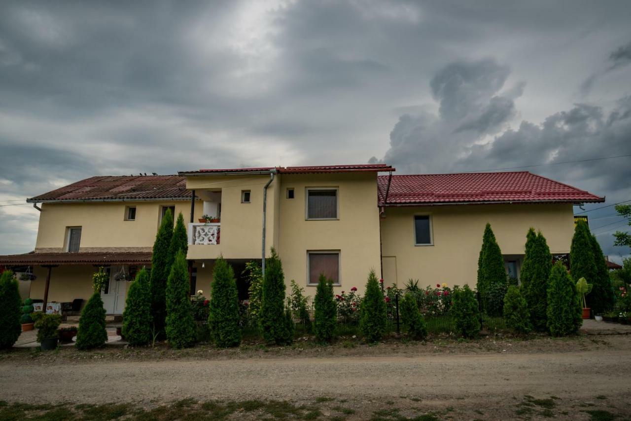 Pensiunea Elena Tasnad Exterior foto