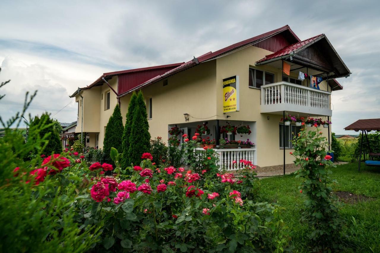 Pensiunea Elena Tasnad Exterior foto