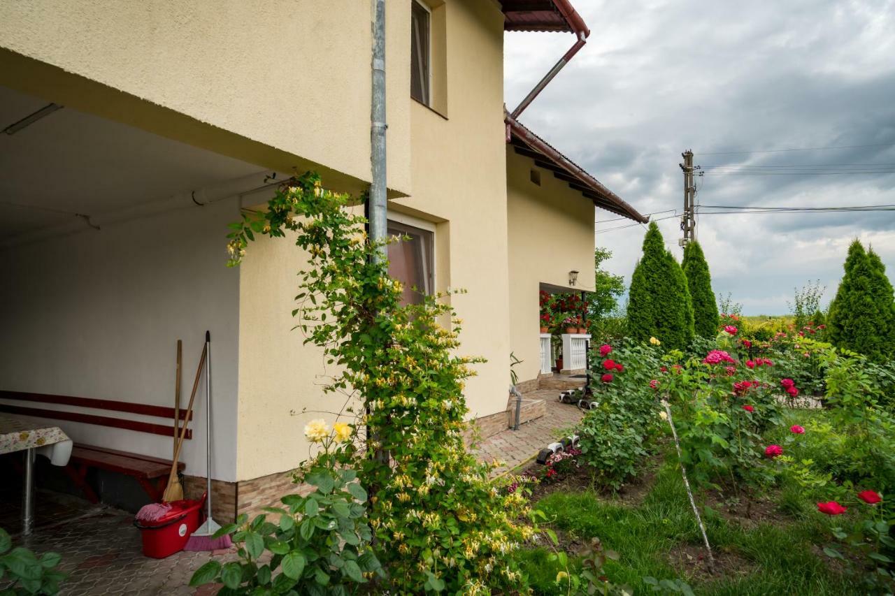 Pensiunea Elena Tasnad Exterior foto
